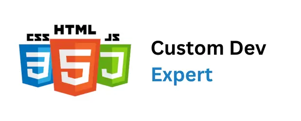 Custom-Development-Expert